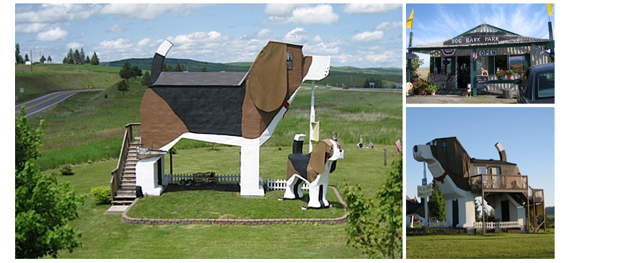 Dog Bark Park Inn photos